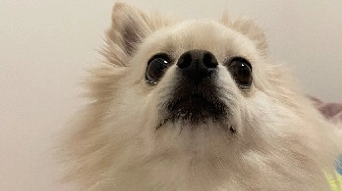 🆘残り3時間🆘