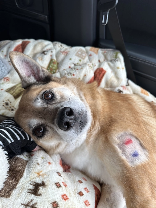 12/6 ☢️放射線治療5回目☢️