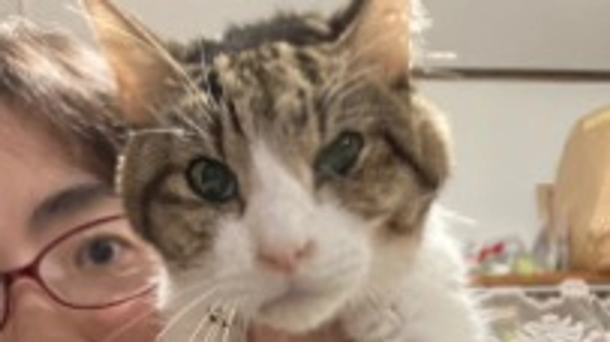 鼻腔内リンパ腫発症からだいぶ痩せてしまいました…🥲