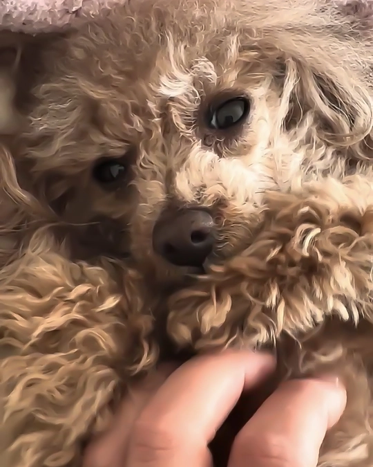 皆様からのご支援金を本日受け取りました。