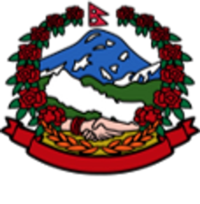 保健師さんのための、勉強会を開催しました！（2024年2月のご報告）