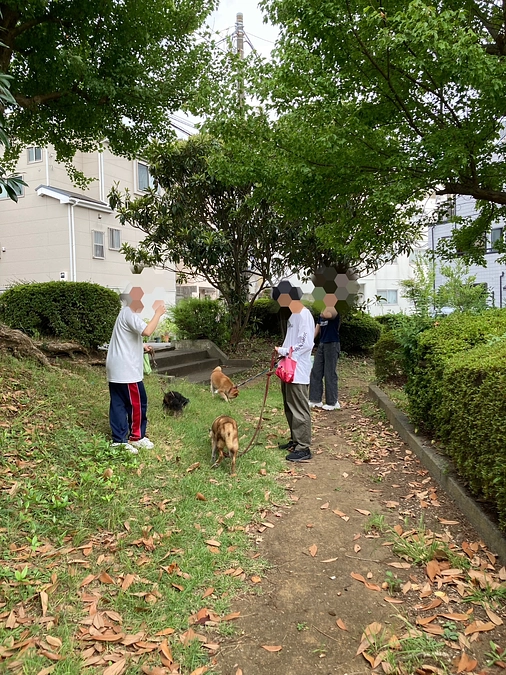 暑い夏ももう少しです。みんなのハウスは快適な室温を保てましたが、ワンコの散歩には苦労しました。