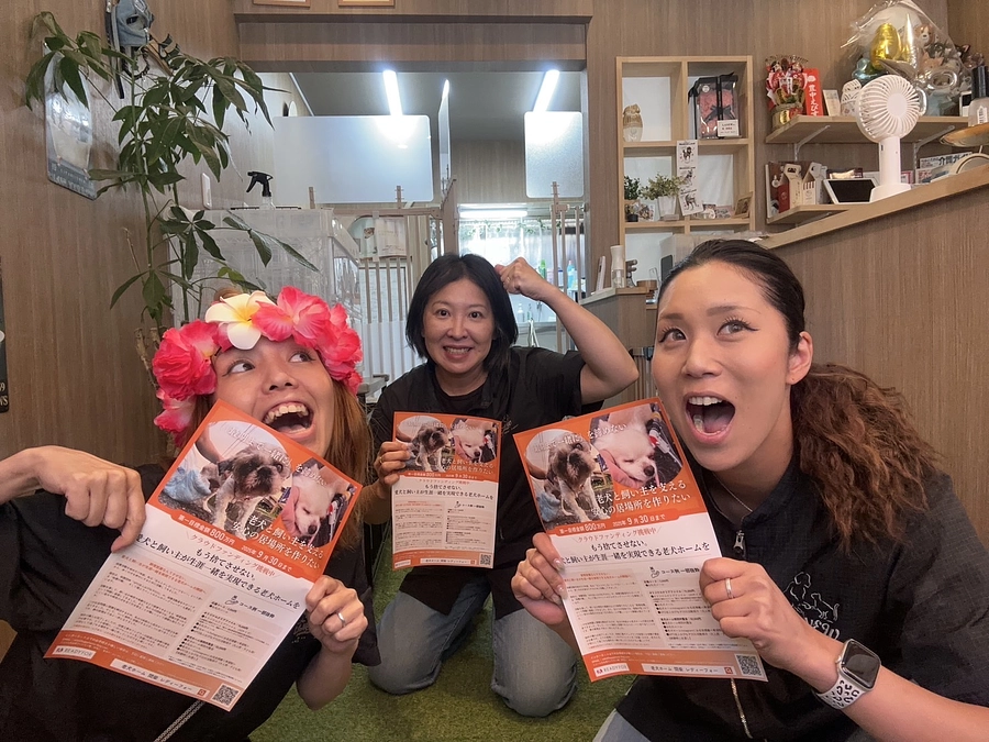 【応援メッセージをいただきました】トリミングサロンLANEW　様より