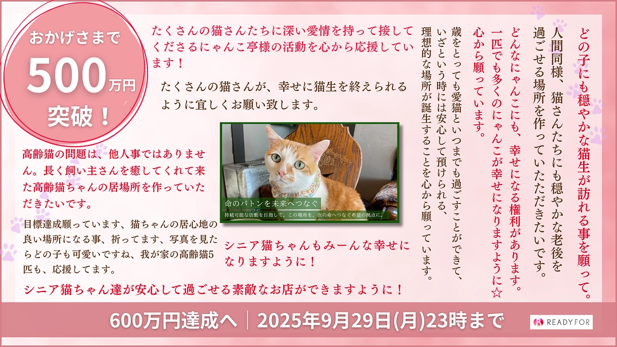 【終了まであと59時間】500万円突破のご報告と感謝の気持ちです！ラスト駆け抜けます！