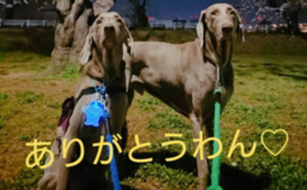 ご支援ありがとうございます＾＾