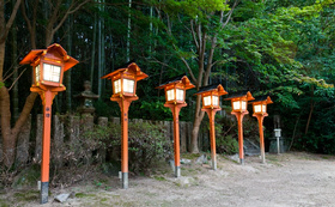 春の神社の杜、タケノコ収穫体験