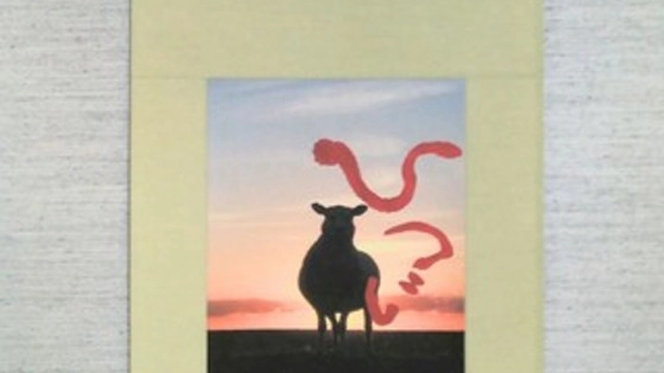 衰退する日本の文化、掛け軸にイノベーションを起こしたい。