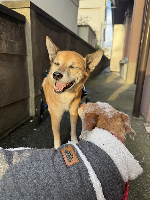 12/14 車椅子練習♿️