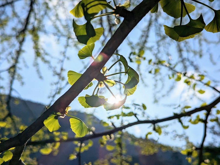 自然なるままに