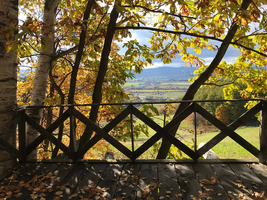 山頂ドライブはいかが？