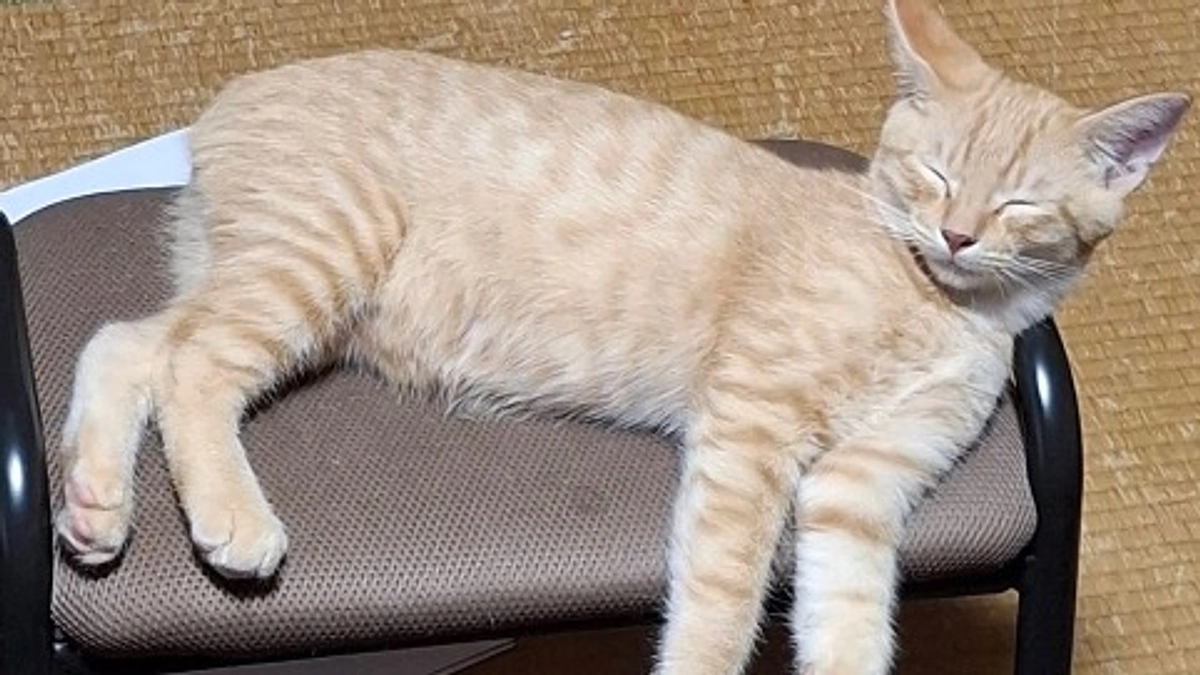 返礼品発送しました！