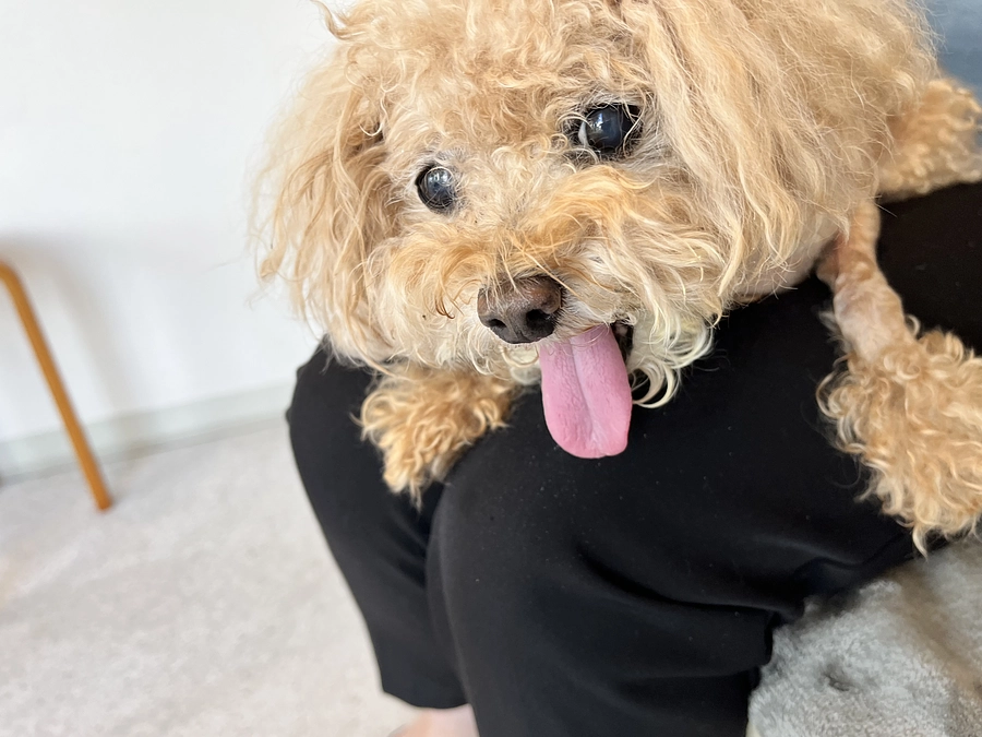 術後25日目の通院検査