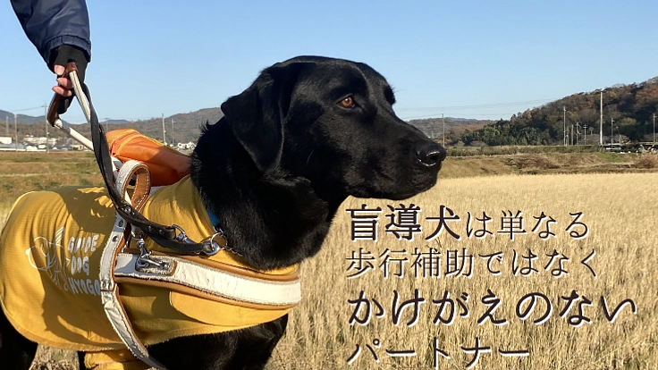兵庫盲導犬協会｜視覚障がい者のパートナー、盲導犬の育成費にご支援を 5枚目