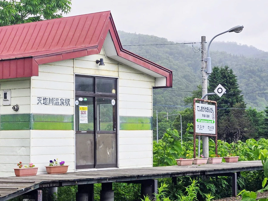 今年も花いっぱい運動！/マンスリーサポート終了のお知らせ