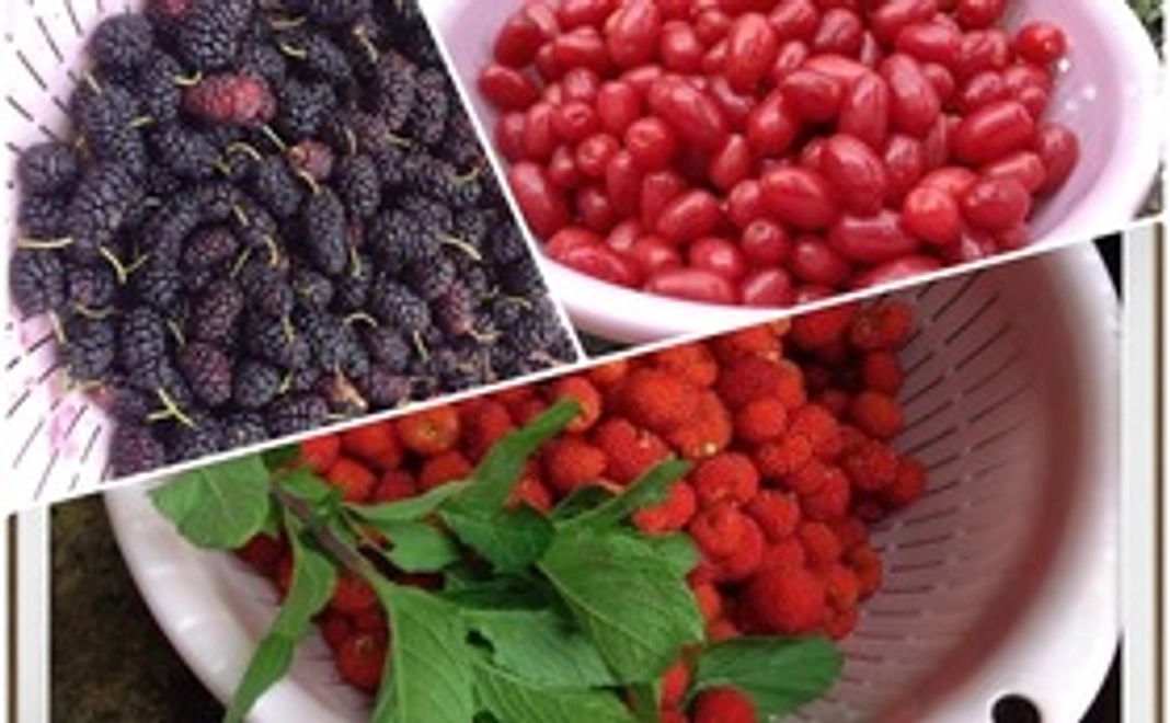 自然農法の美味しさをお届け!ジャムセット