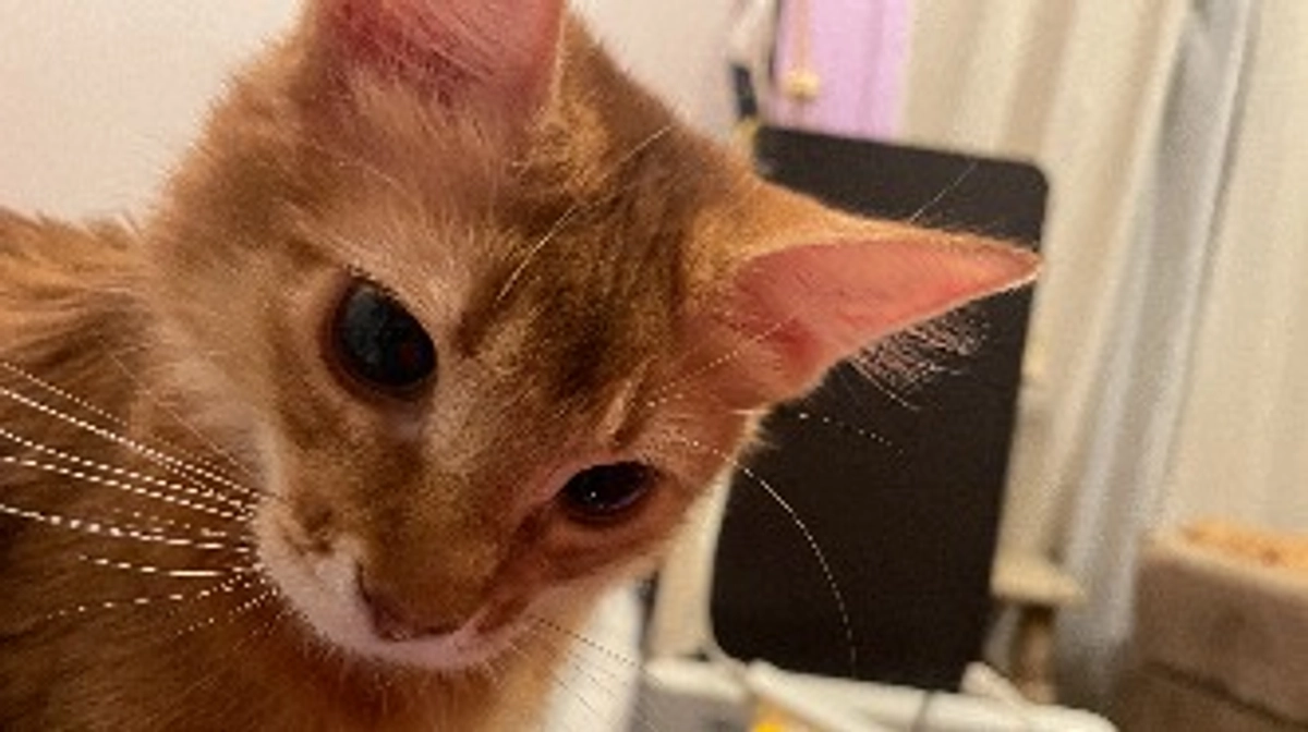 ★2023年11月25日：投薬67日目★