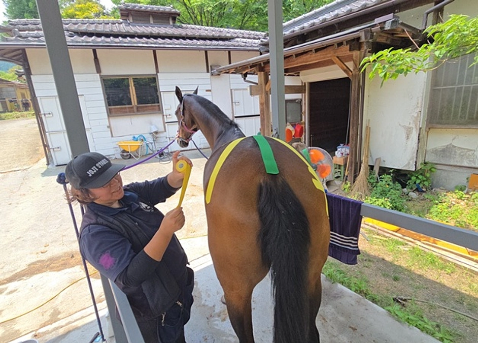 ホーステーピング基礎講座・受講者追加募集のお知らせ