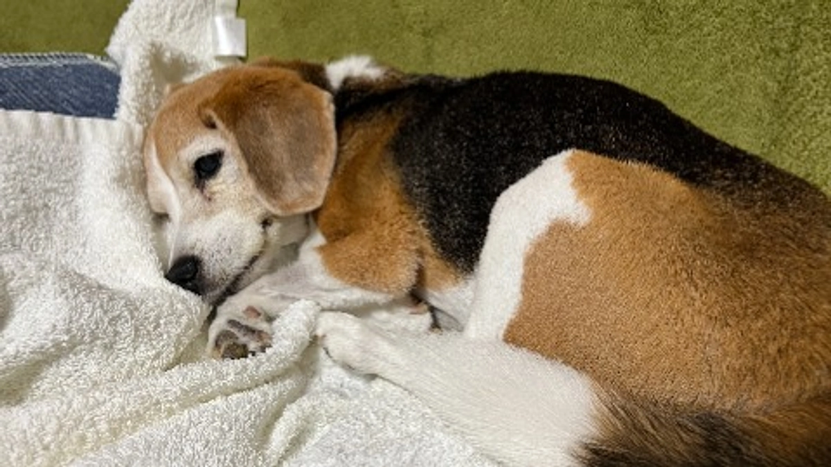 10/31 やはり波があり、一進一退で今後を考えねばなりません。