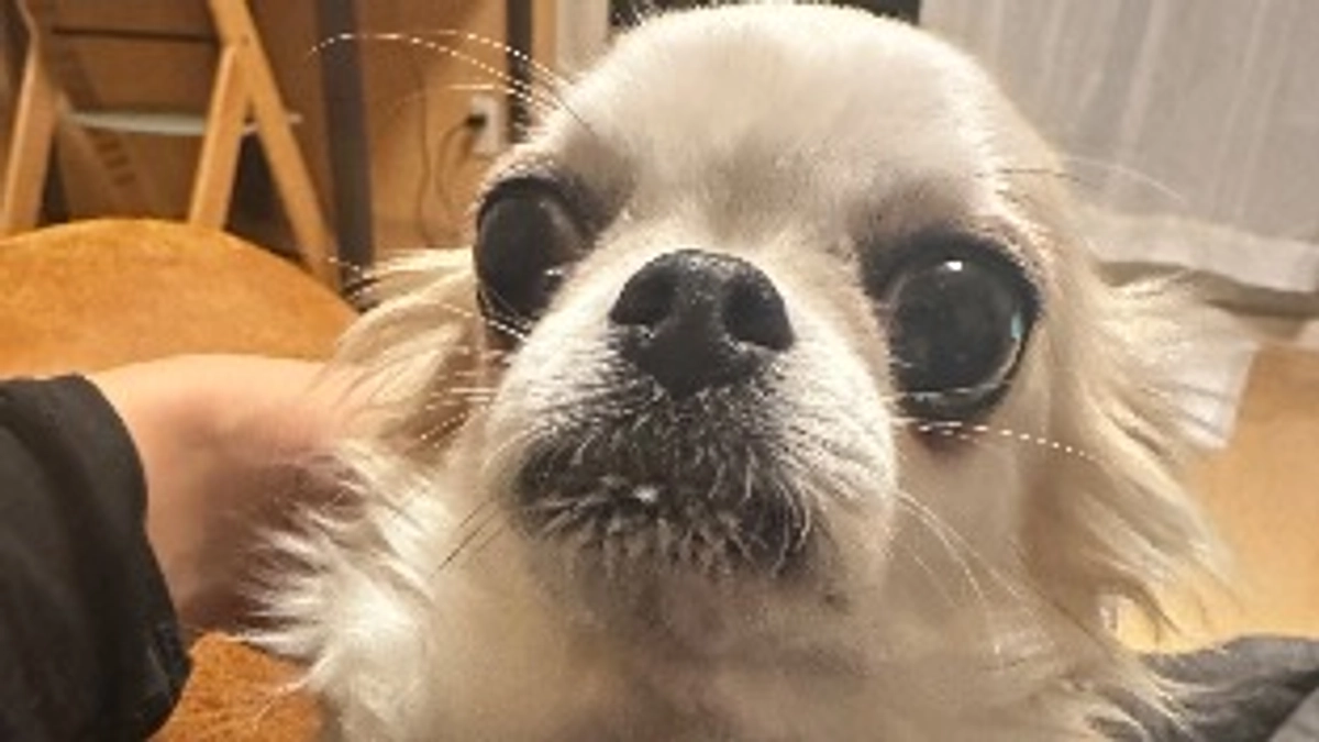 リターン送付完了