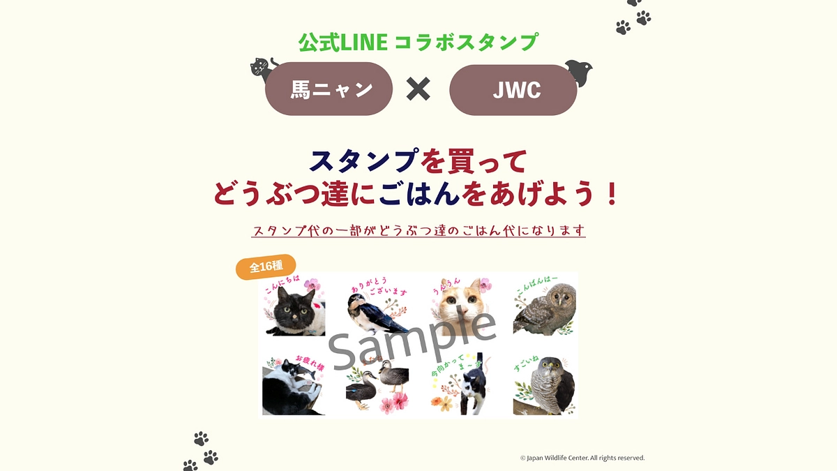 【LINEスタンプ販売中！】馬ニャン×JWCコラボスタンプ♪