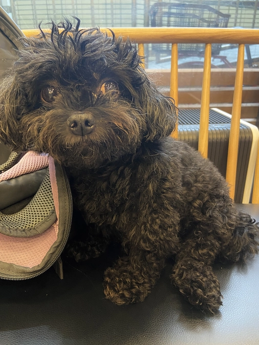 手術まで、あと4日❗️❗️❗️❗️