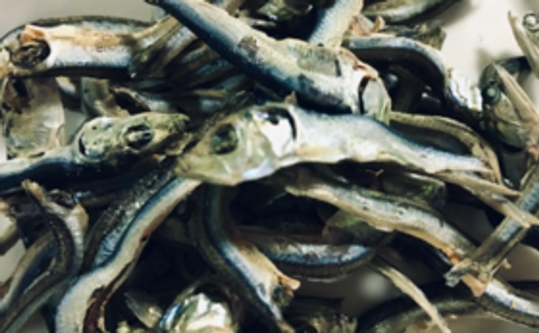 地元産煮干しに感謝のお手紙を添えて