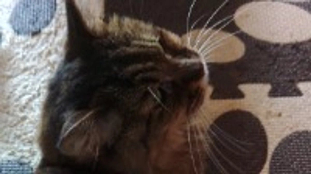 残り1時間を切りました。