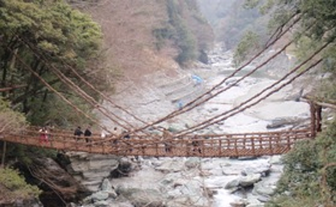 感謝の手書き絵ハガキ（希望制)＆メールの送付、かずら橋通信の送付