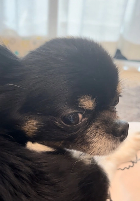 皆様、本当にありがとうございます