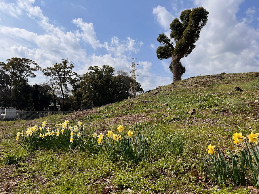 西日本新聞に掲載して頂きました。