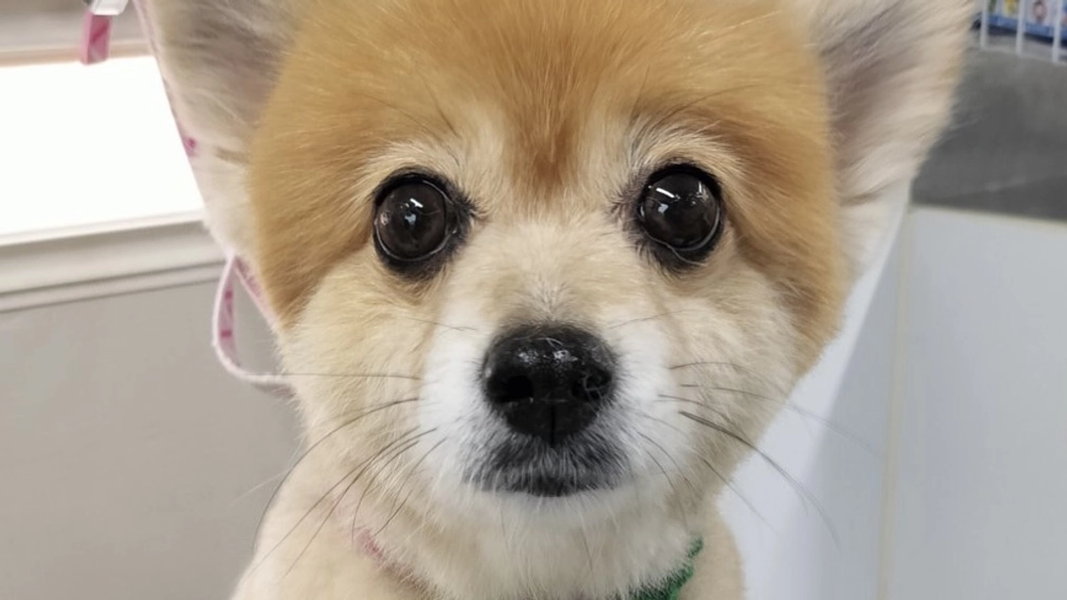 🆘このままでは達成できません🆘残り8日、達成率15%🆘