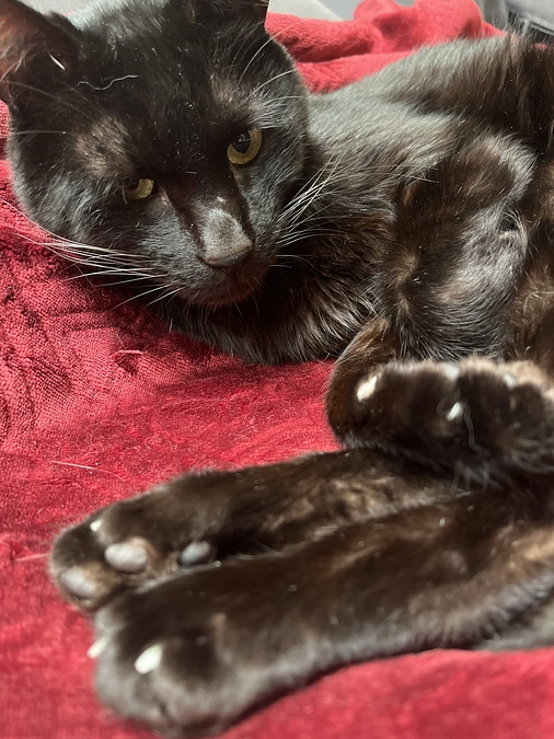 体重が増えました。