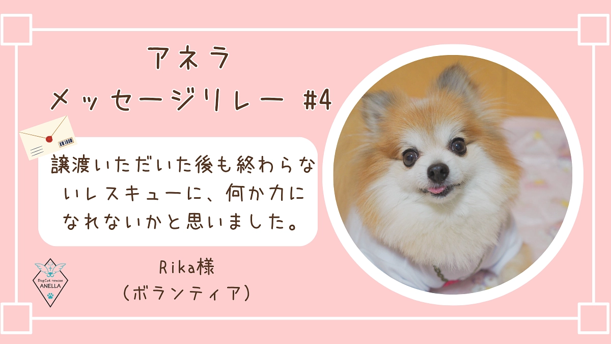 ボランティアメッセージリレー #04