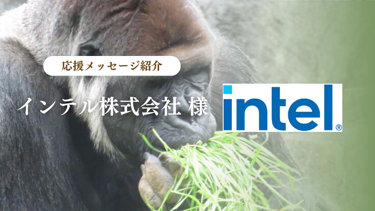 インテル株式会社様からの応援メッセージのご紹介