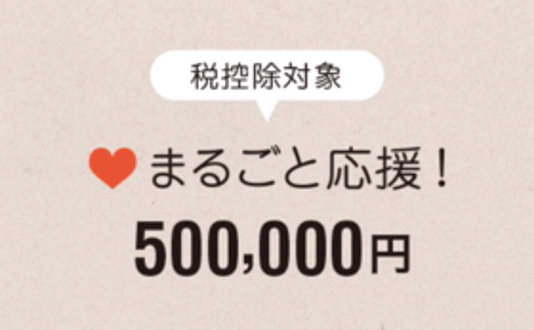【税控除対象】まるごと応援500,000円コース