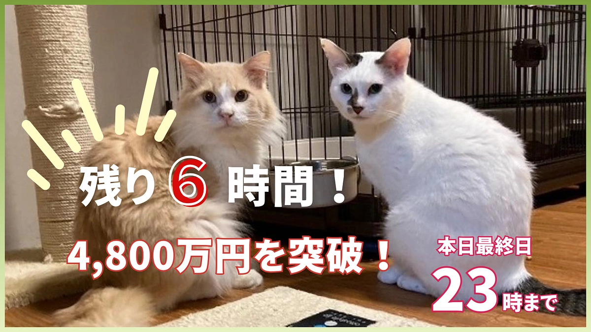 残り6時間｜4,800万円を突破しました！