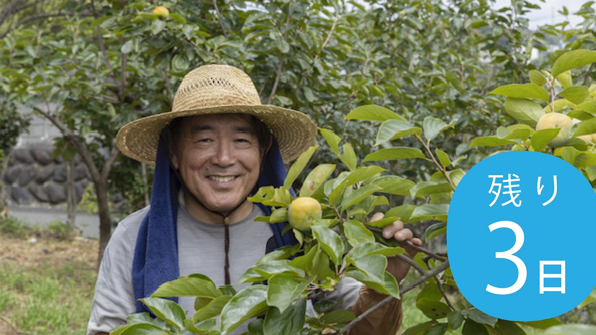 JIKE STUDIO（FARM）で働くスタッフからのメッセージ　その5　松野丈俊