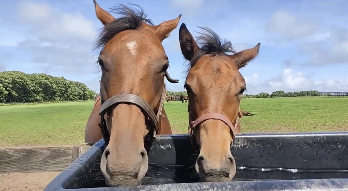 沢山のご支援ありがとうございました。
