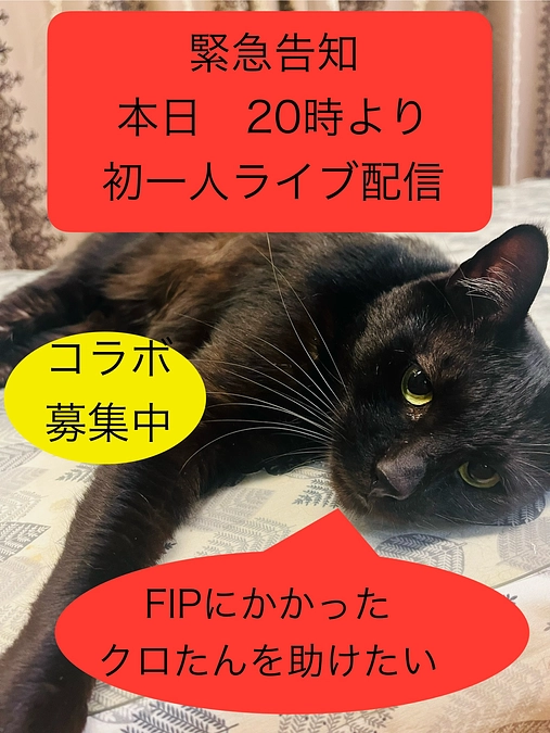 初単独ライブします。