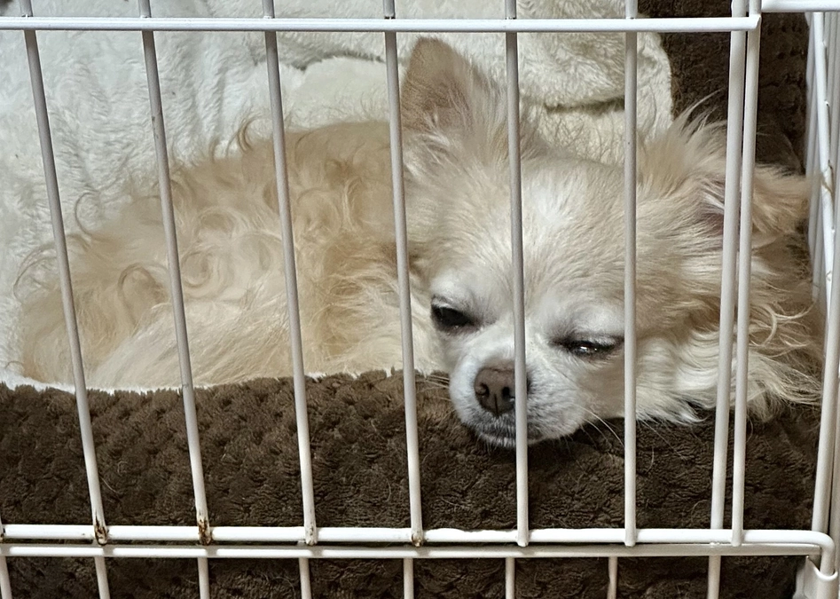 ご支援・拡散・応援本当にありがとうございます🙇‍♀️