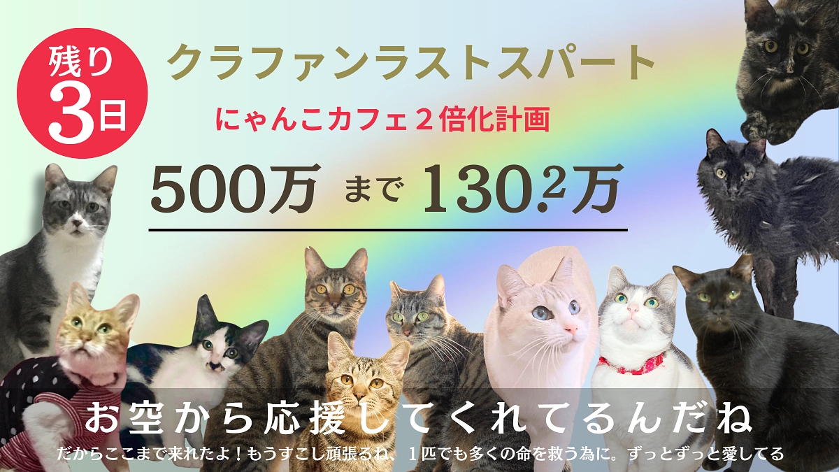 【残り３日】皆様からのあたたかな応援・ご支援に日々背中を押していただいてます。