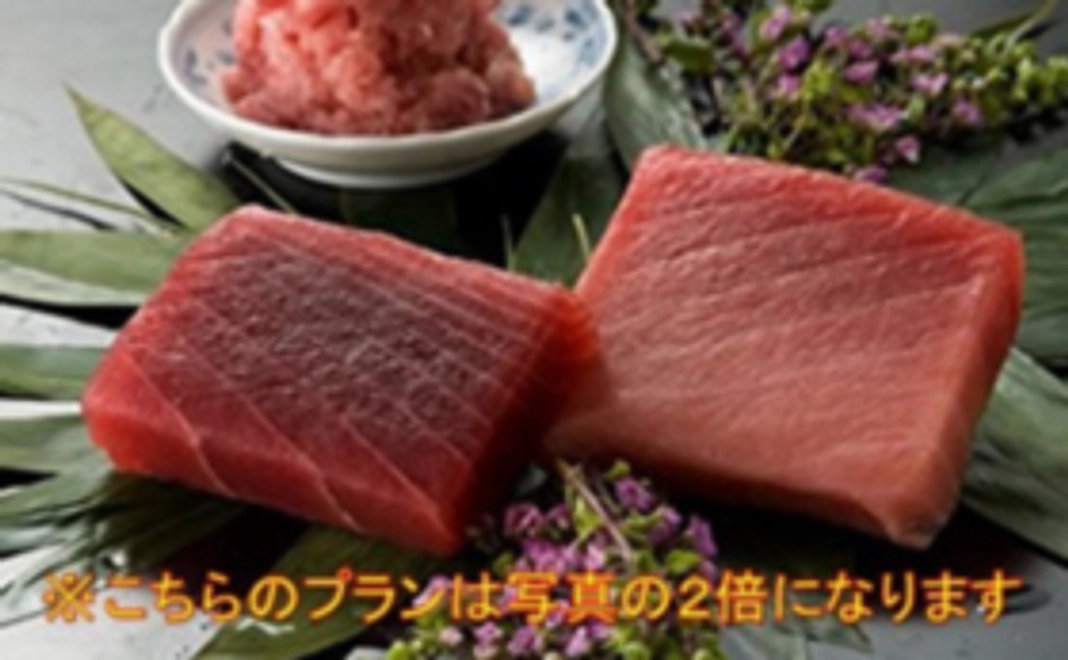 本マグロ食べ比べプラン