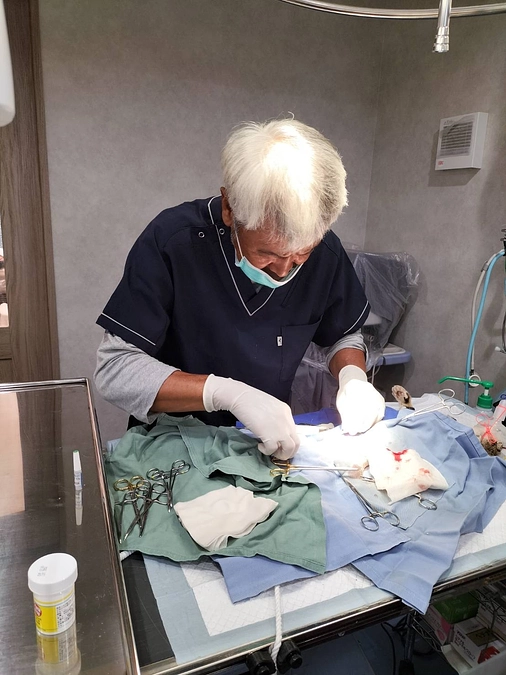 のら猫さんとほご猫さんの病院たんぽぽ　獣医師小野内より