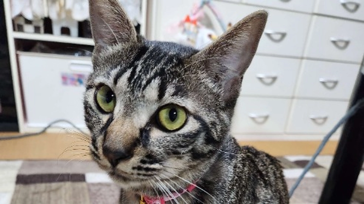 楓日記(10月13日)クラウドファンディング終了まで残り7日💦