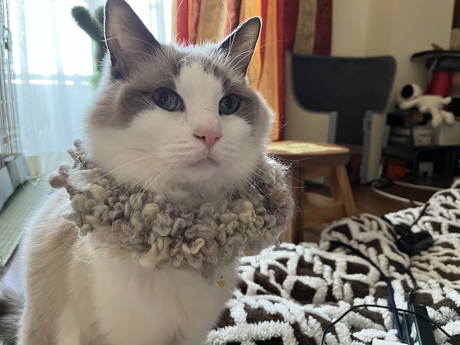 0314 定期検診行ってきました