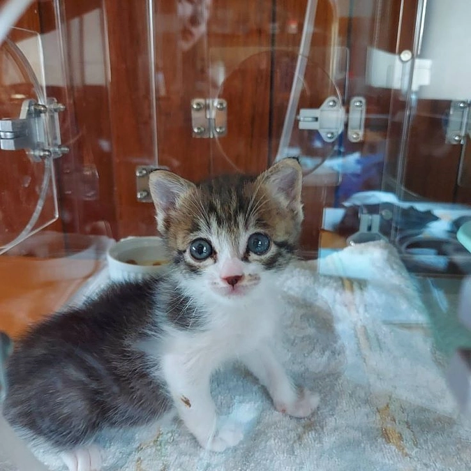 代理支援　～インターネットでの支援方法が分からない方へ～