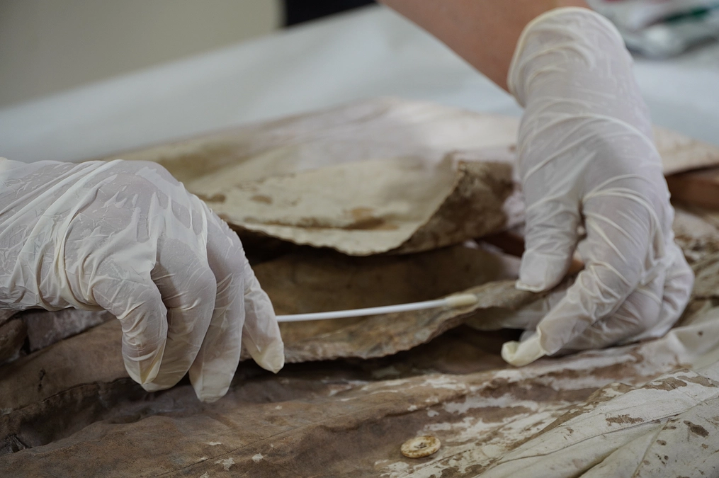 「血染めの白衣」カビ検査を実施しました