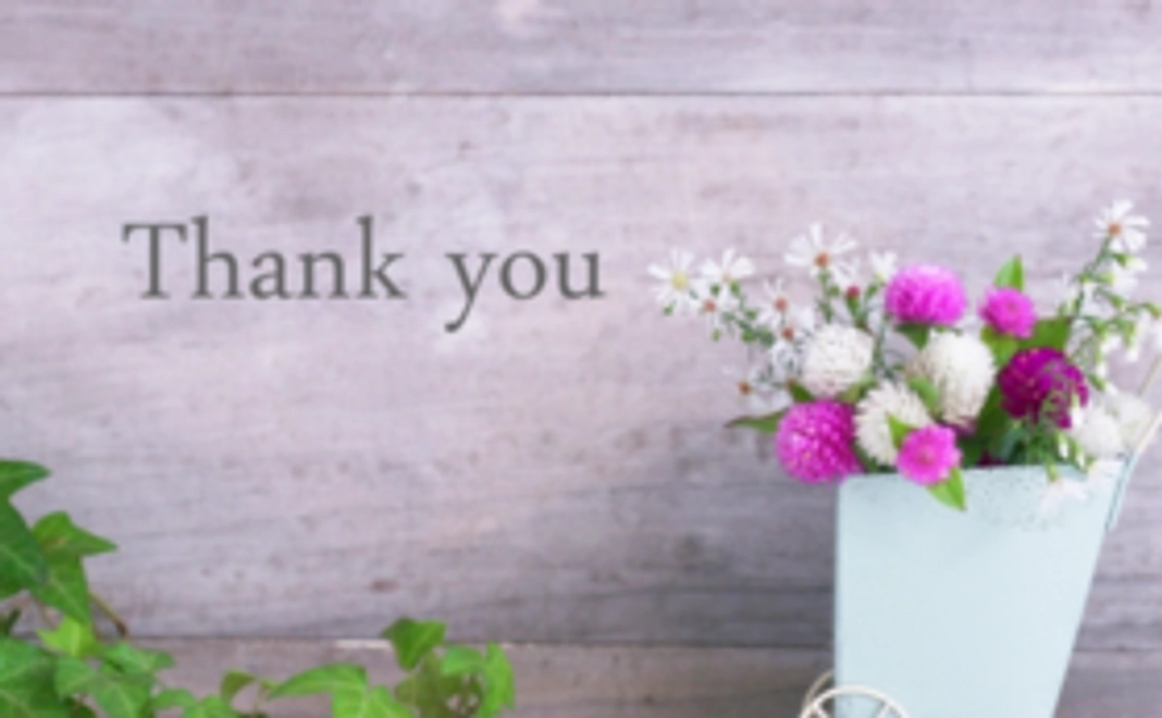 にゃんこ幸せ応援コース