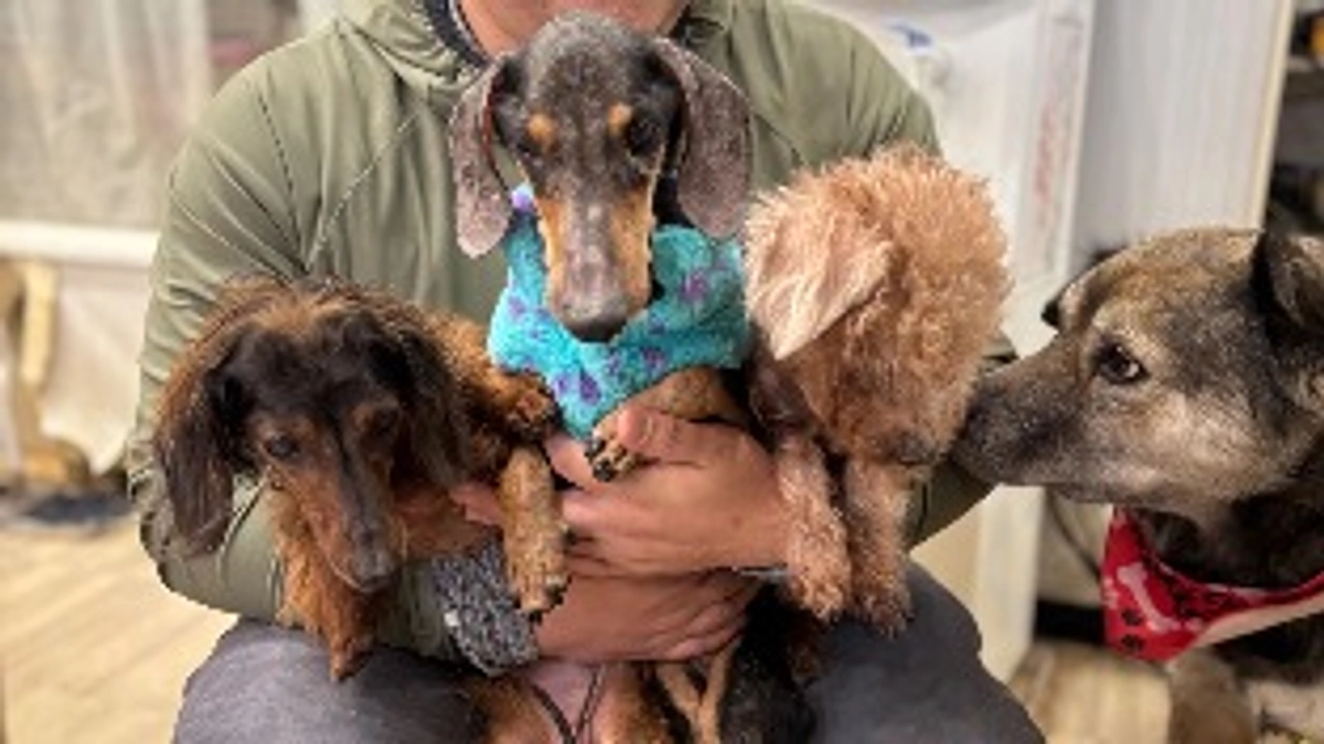 スタートから2日目🐕 ͗ ͗