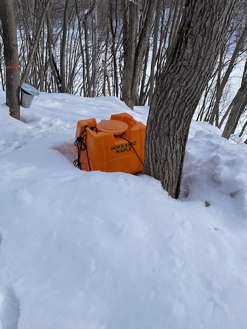 今期最後の収穫シーズンがまいりました！